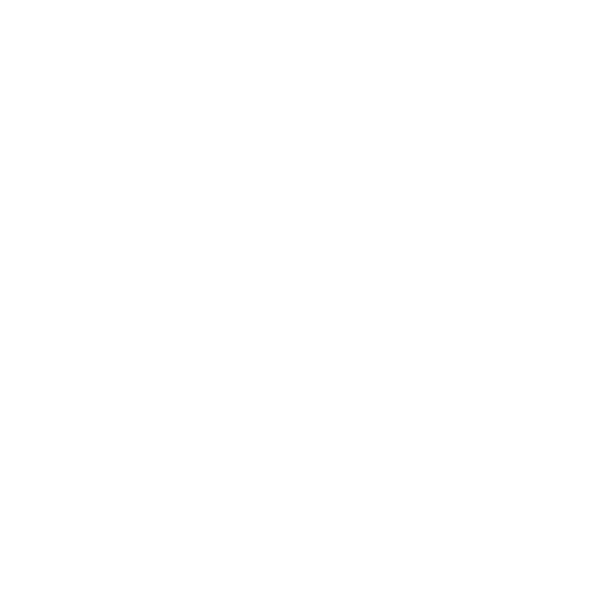 Mister Hip Hop