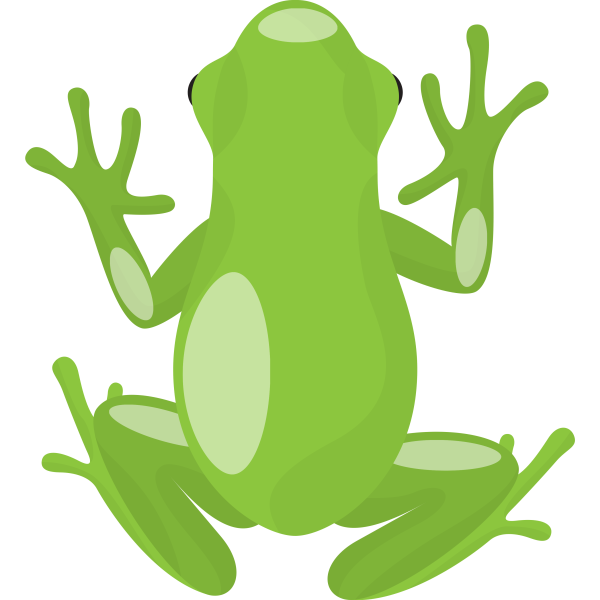 Climbing Frog Illustration