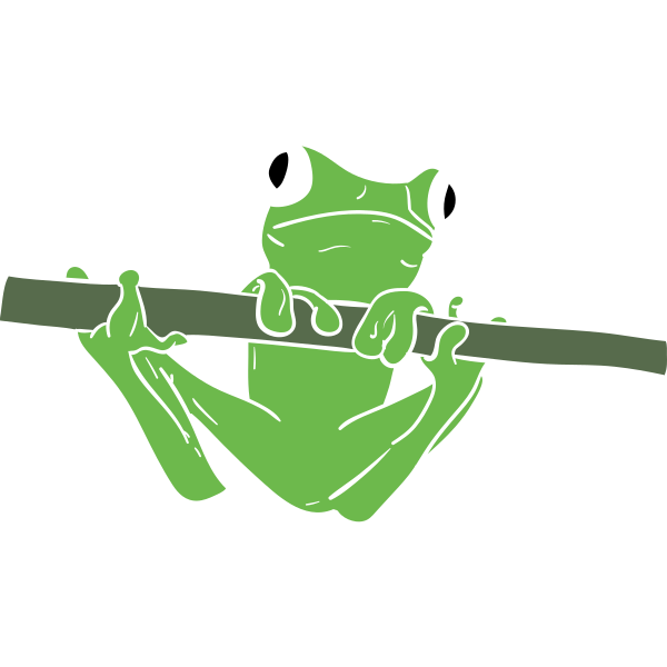 Frog Hanging On A Stick