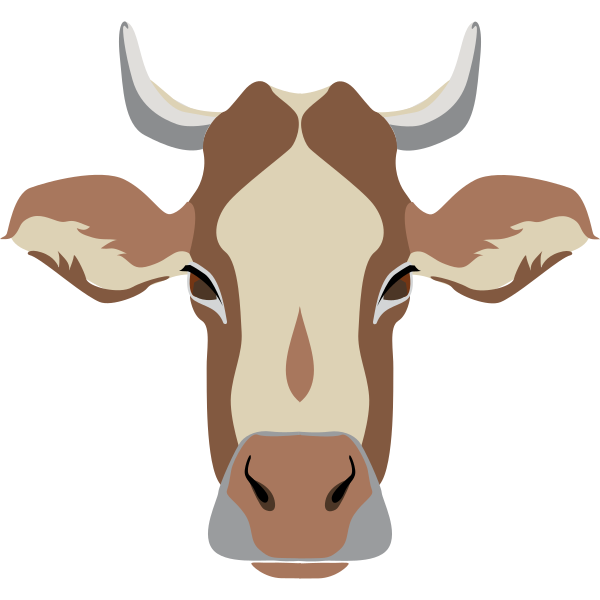 Head Cow