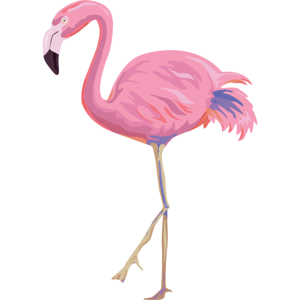 Flamingo Body