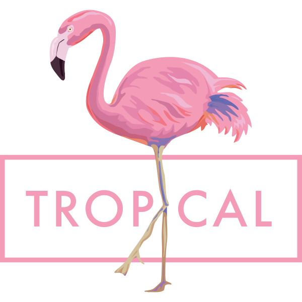 Tropical Flamingo