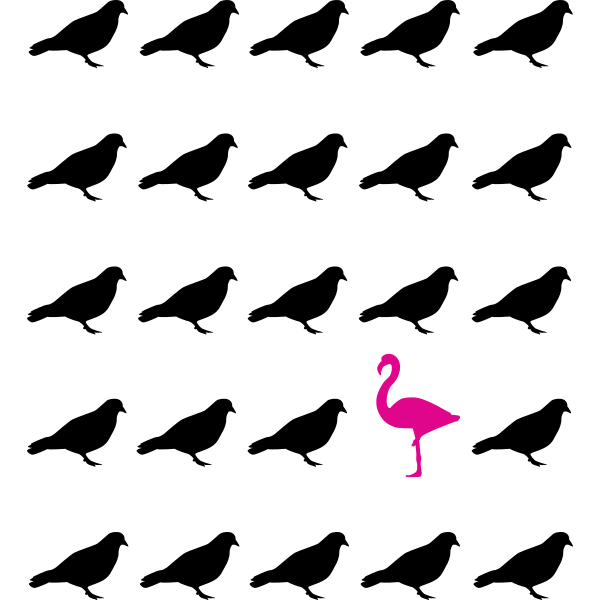 Flamingo Pigeon