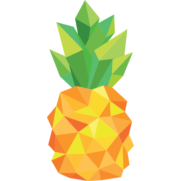 Stylish Pineapple