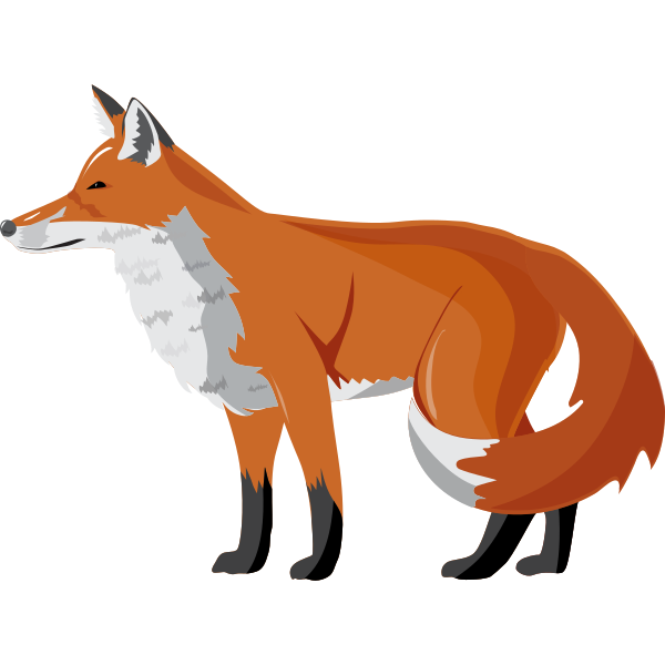 Fox Illustration