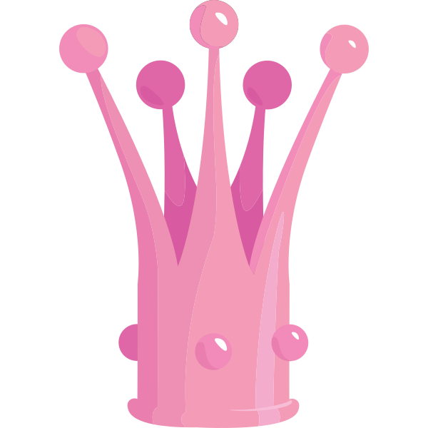 Cute Princess Crown