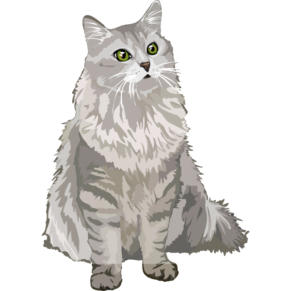 Silver Tabby Fluffy Cat