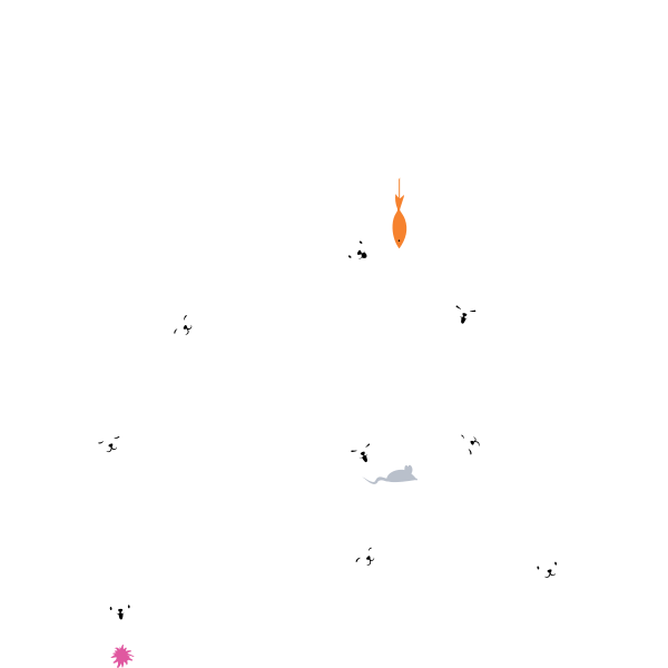 Cat Yoga