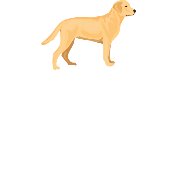 No Therapy Just My Dog