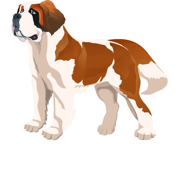 Saint Bernard Illustration