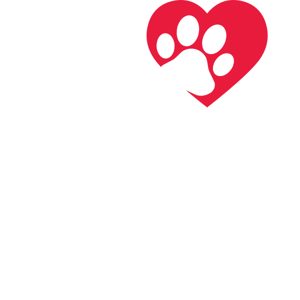 Mein Herz Bellt