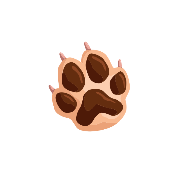 I Needed A Hand Found Your Paw