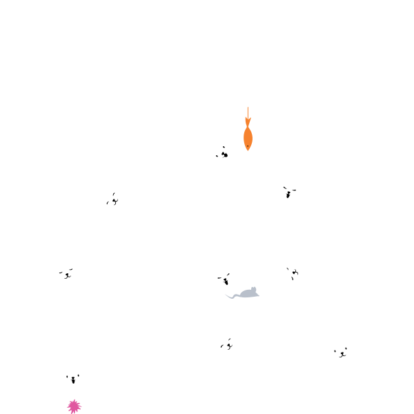 Katzen Yoga