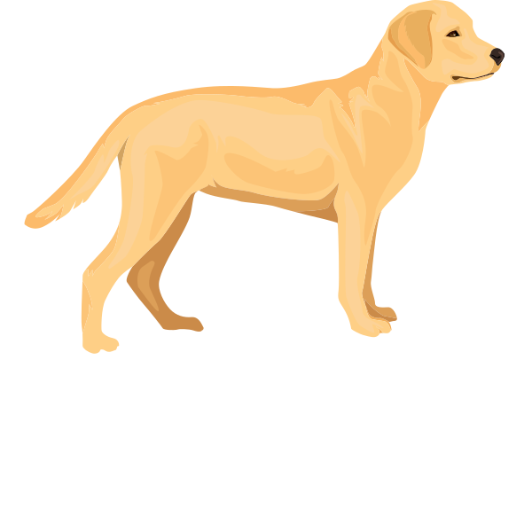 Niemals ohne meinen Labrador