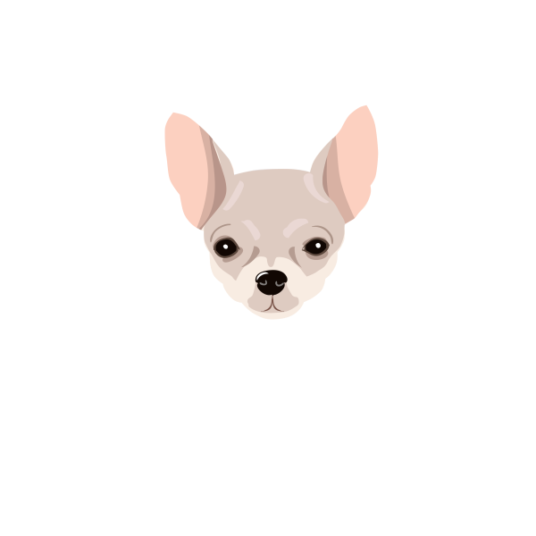 Ein Leben ohne Chihuahua ist möglich aber sinnlos