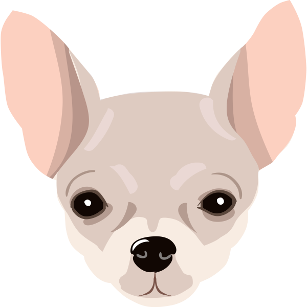 Chihuahua Head