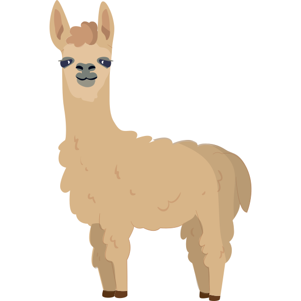 Funny Llama