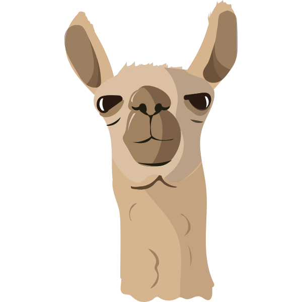 Llama Funny Head