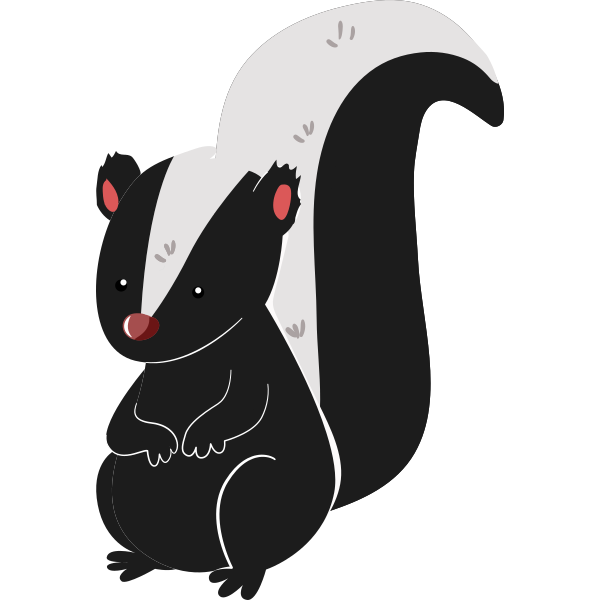 Cute Litte Skunk