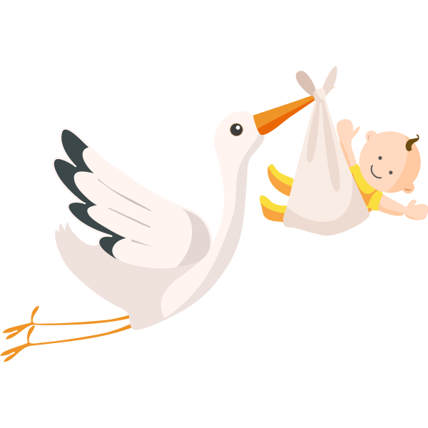 Stork And Baby Flying