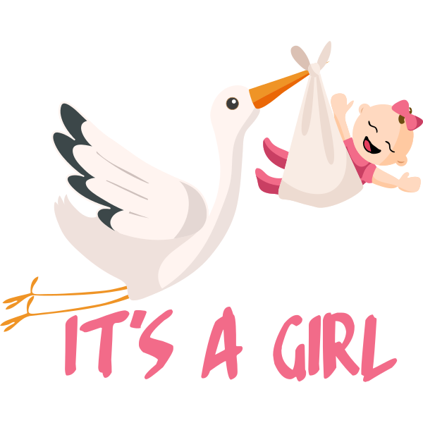 It´s A Girl Stork And Baby