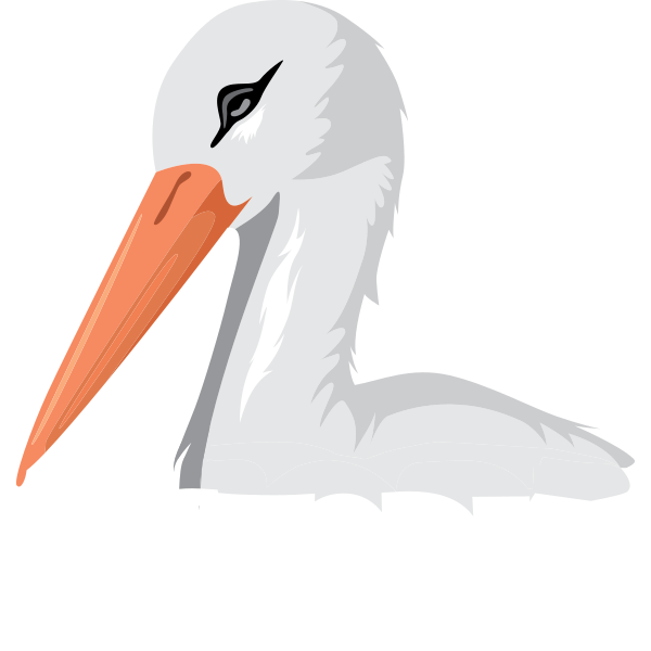 Stork Illustration