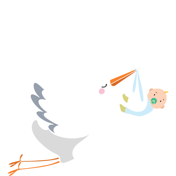 Baby On The Way