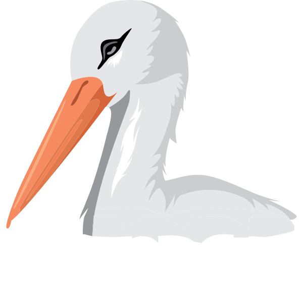 Storch Illustration