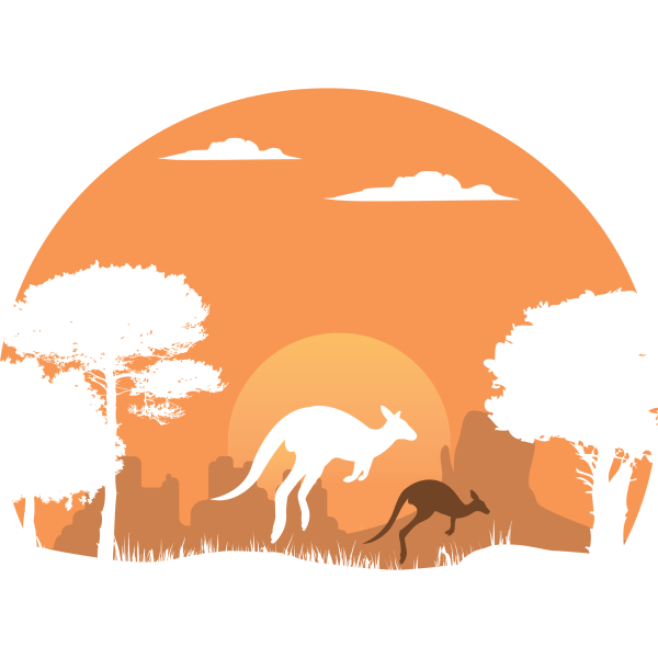 Kangaroos In The Desert