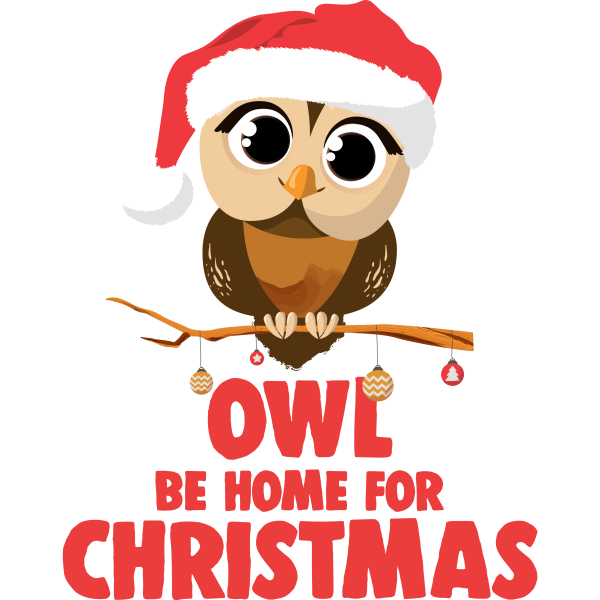 Owl Be Home For Christmas