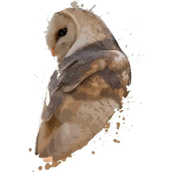 Barn Owl Watercolor Painting