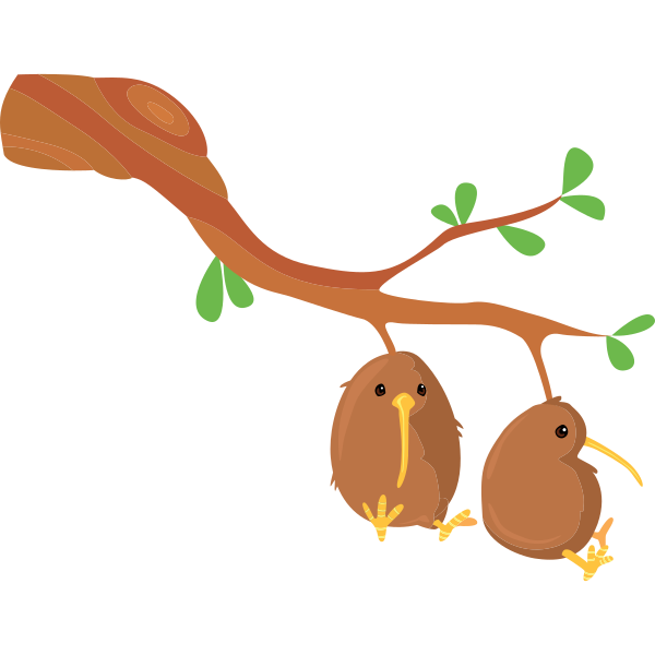 Kiwi Branch