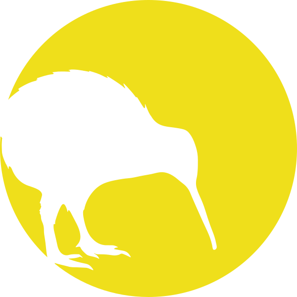 Kiwi Bird In The Moonlight