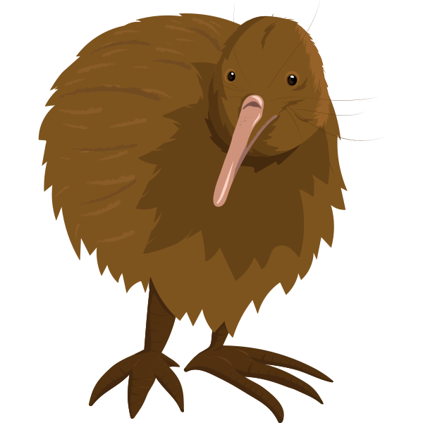 Kiwi Illustration