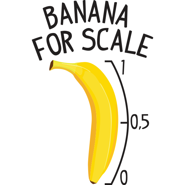 Banana For Scale