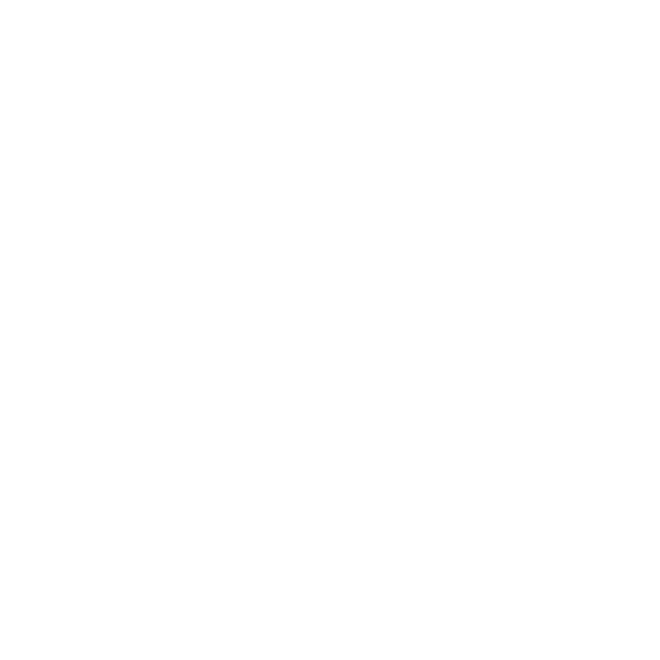 Cook Skull