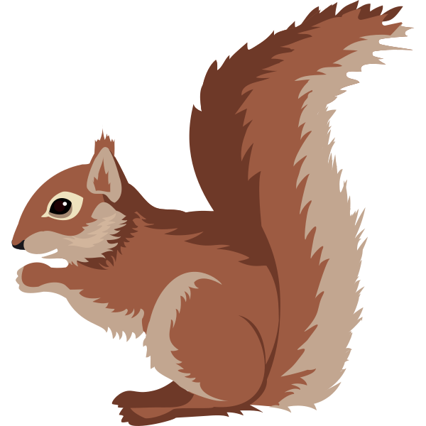 Red Squirrel Illustration