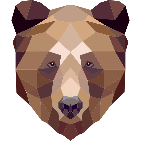 Bear Geometric Style