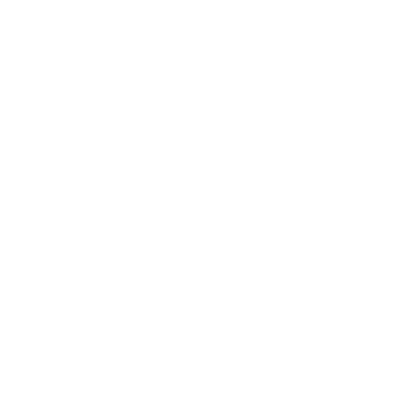 Ice Bear