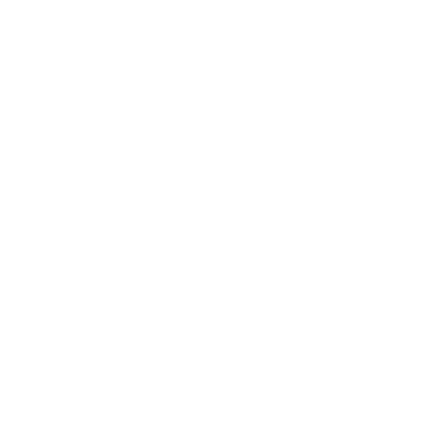 Geek Evolution