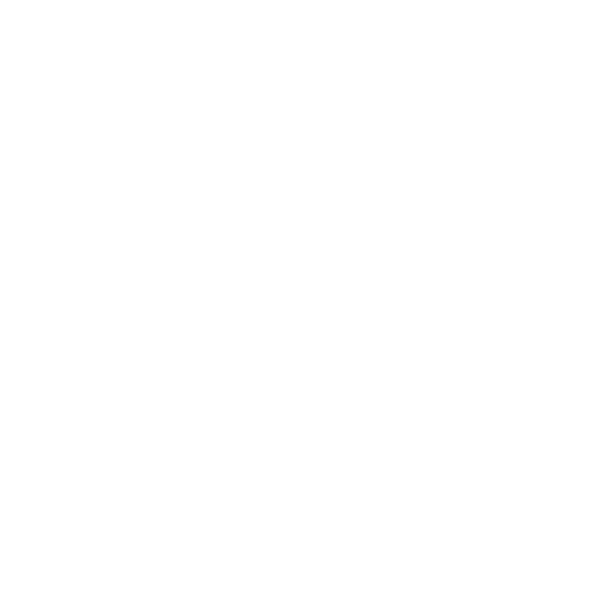 Dear Santa I Can Explain