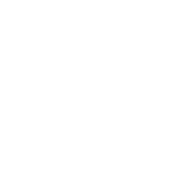 Pirate Skull