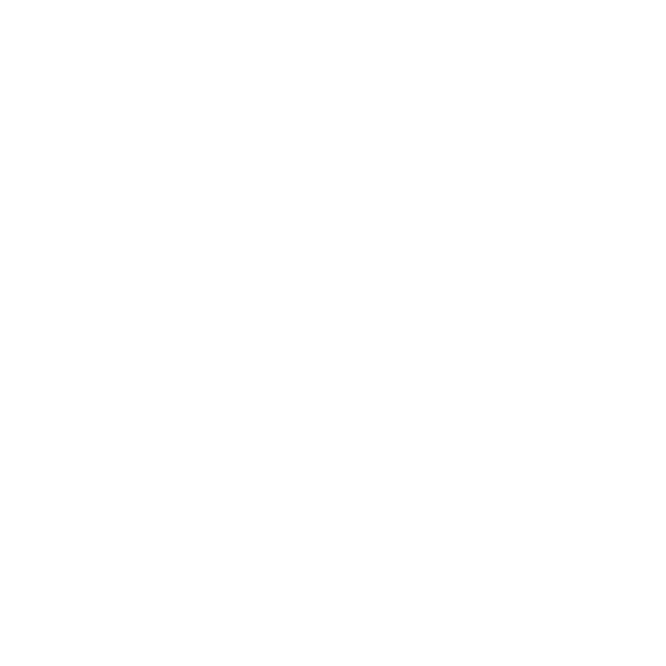 Grill Meister