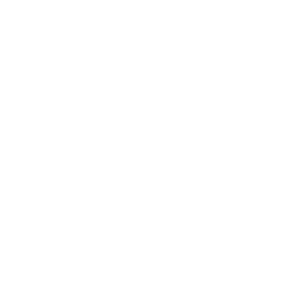 Ski Evolution