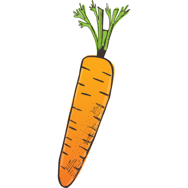 Carrot