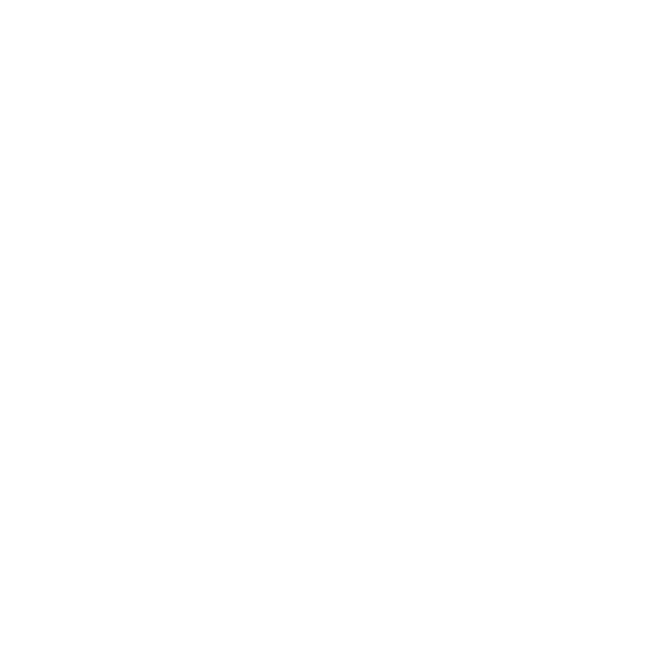 Karate Kung Fu Evolution