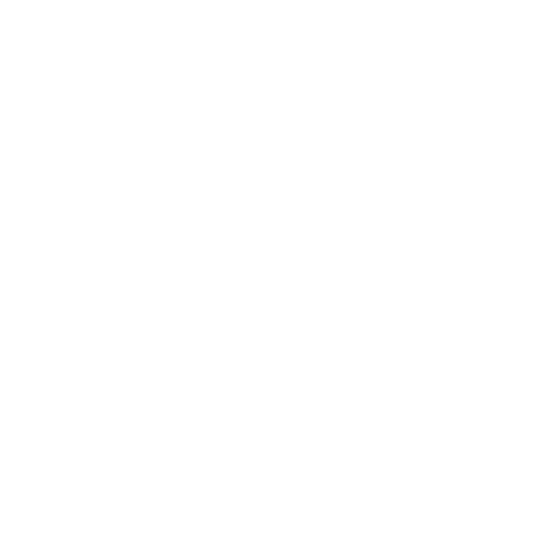 Switzerland Swiss Map