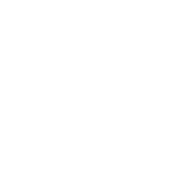 SPQR Roman