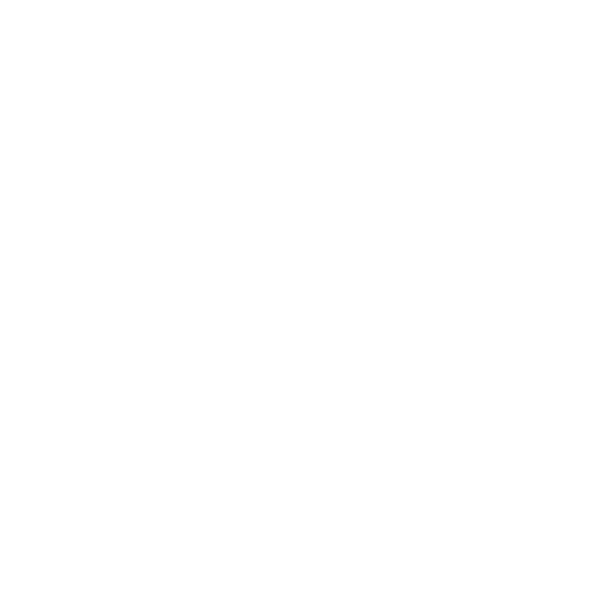 President in Progress