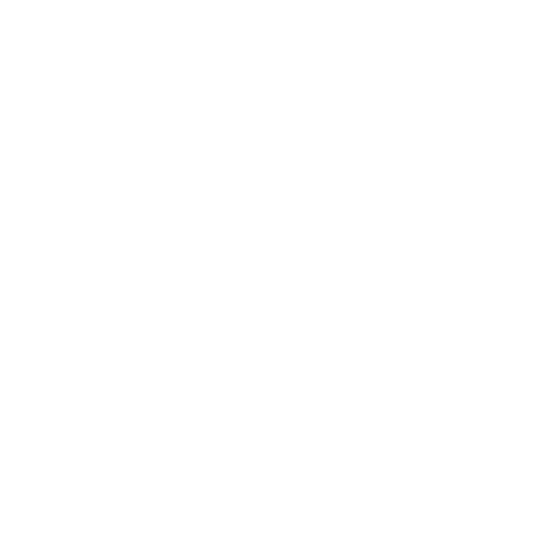 Fast Food